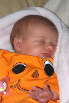 Lil pumpkin Avery
