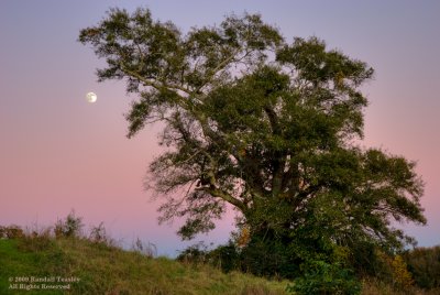 Vicksburg-Moonrise
