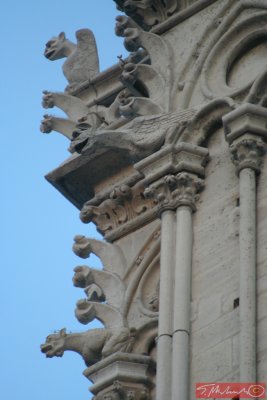 Paris, Notre Dame