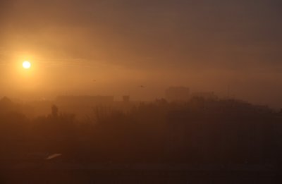 IMG_5501.JPG