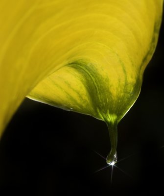 g5/54/883454/3/106179427.OlOk0N1Q.jpg