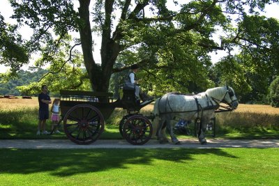 Waiting for the Carriage - Arlington Court.jpg