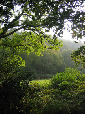 Green Autumn  of 2006