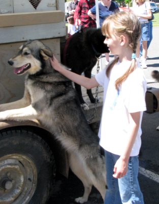 Sled Dog Love