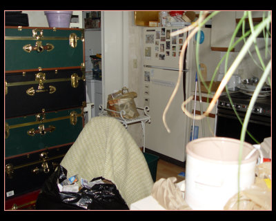 DSC00048 - web.jpg