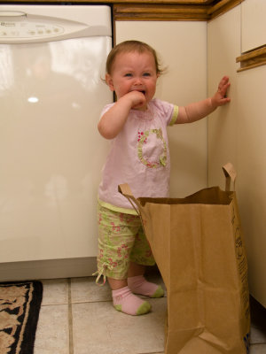 g5/55/306955/3/100515756.s4eMXnIY.jpg