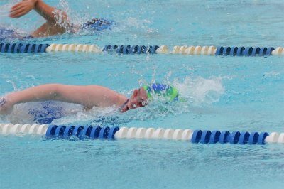 IMG_0263.jpg
