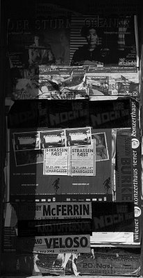 DSCF1858_1.jpg