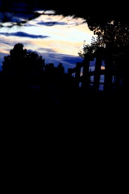 Sky and Fence