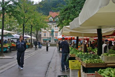 Ljubljana Farmers Market