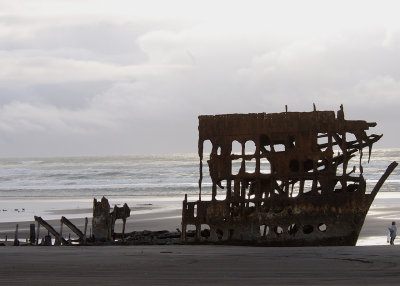 Bones of the Peter Iredale