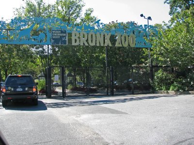 Trip to the Bronx zoo