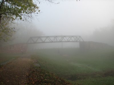 At Whites Ferry in the fog