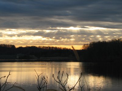 Lines on the water