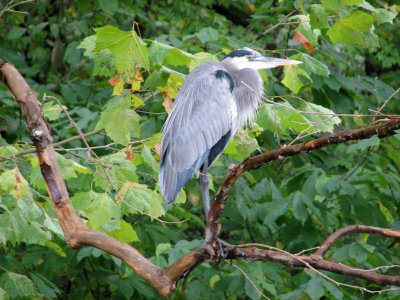 g5/55/529055/3/119119303.s8BLBN6p.jpg
