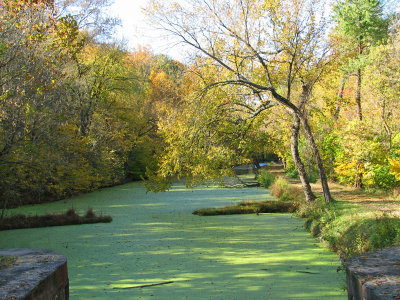 Overwhelmingly green