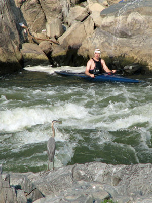 Kayaking in the rapids