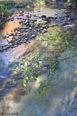 Woodland Stream in Fall