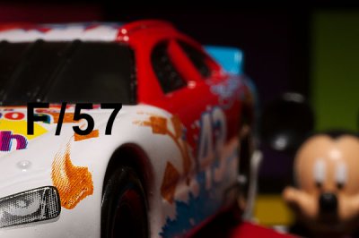 DSC_2730R600.jpg