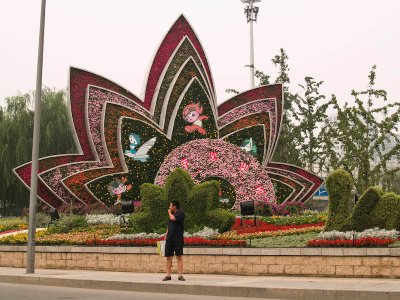 Decorative Floral Display