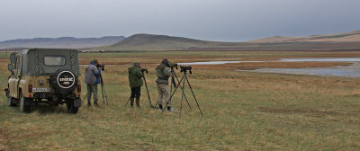 Borgoy-steppe