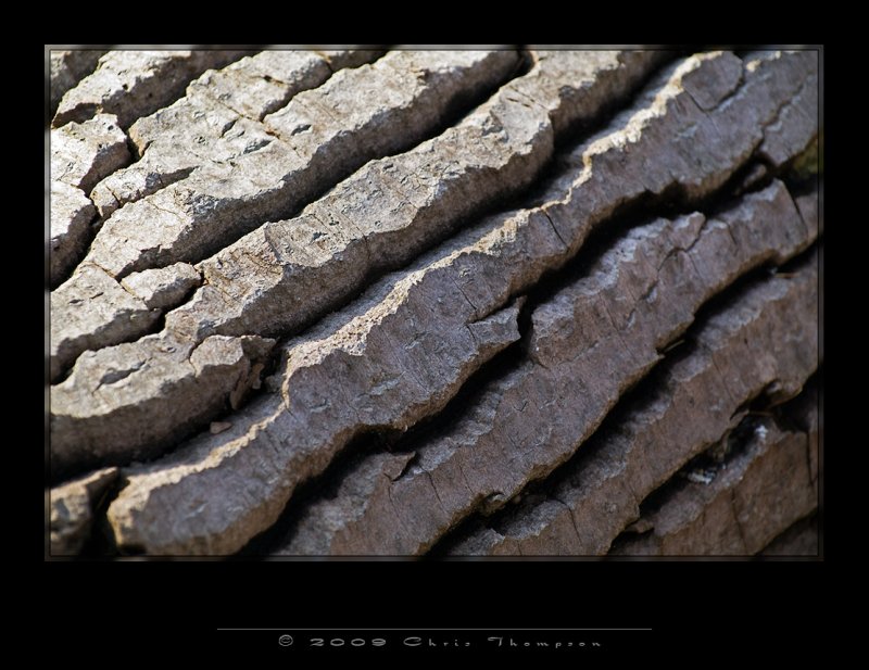 IGP0627 copy.jpg
