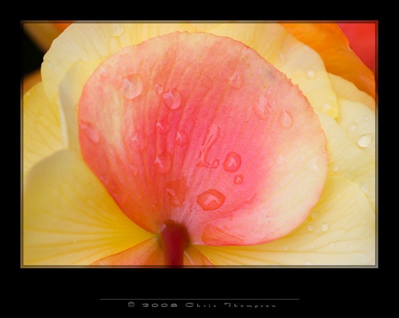 IMG3139 copy.jpg