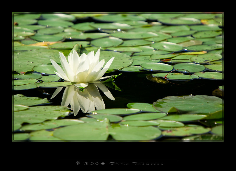 IMG3213 copy.jpg