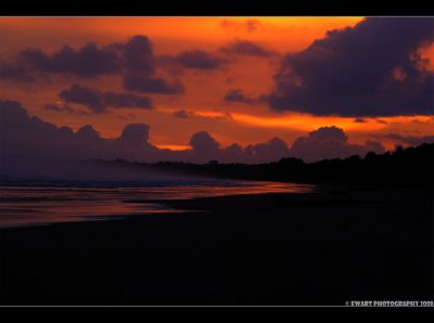 DSC_1401
