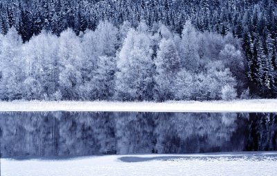 Frosty Winter Landscape