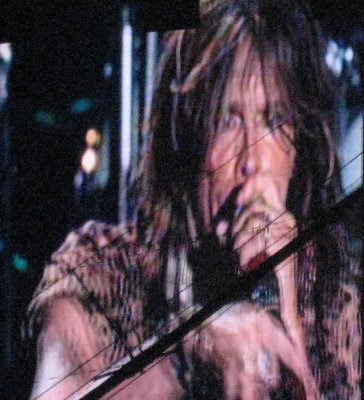 Steven Tyler 2.jpg