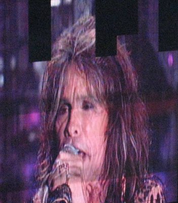 Steven Tyler 3.jpg