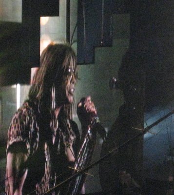 Steven Tyler.jpg