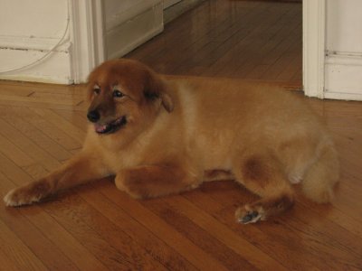 Frankie