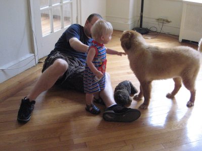 and playing