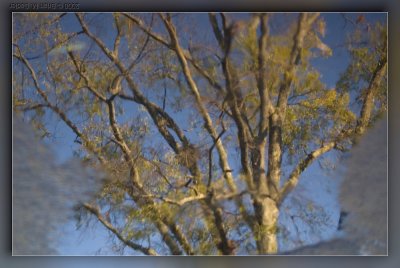 Reflections 01b