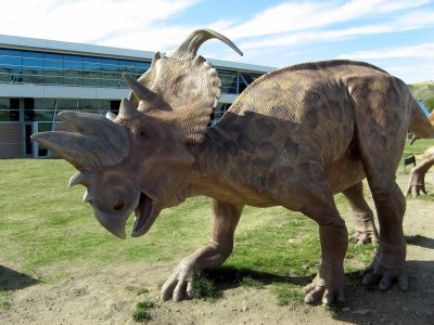 Albertaceratops Sculpture