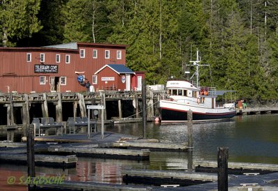 Vancouver Island Images