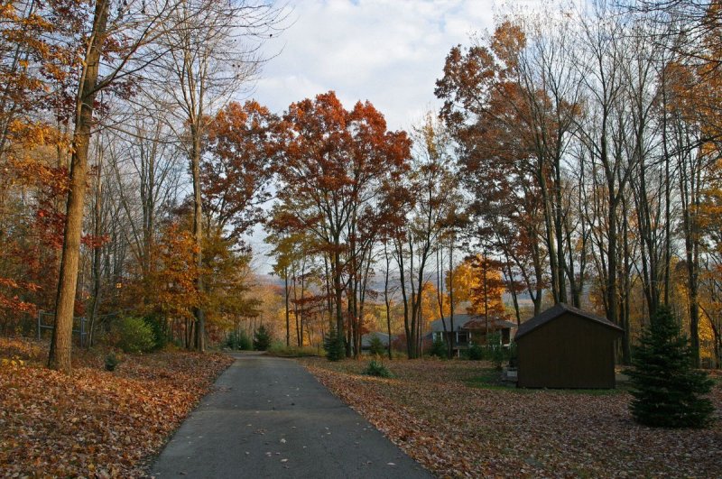 Approach to house along access lane.