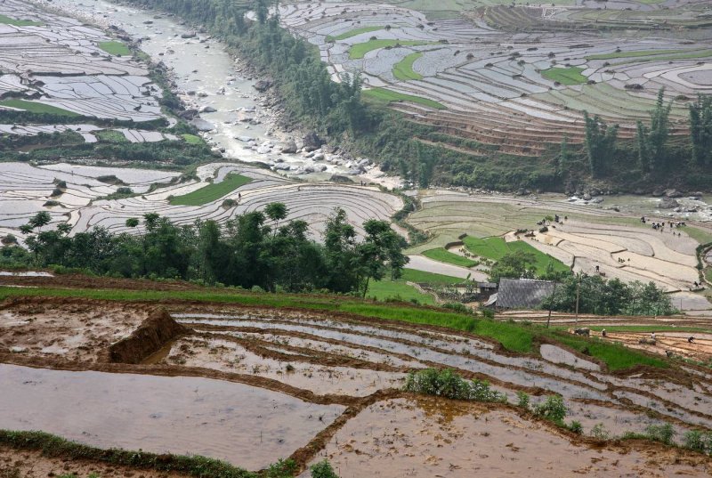 Irrigated hillside terraces -- this complex feat of engineering took centuries to develop