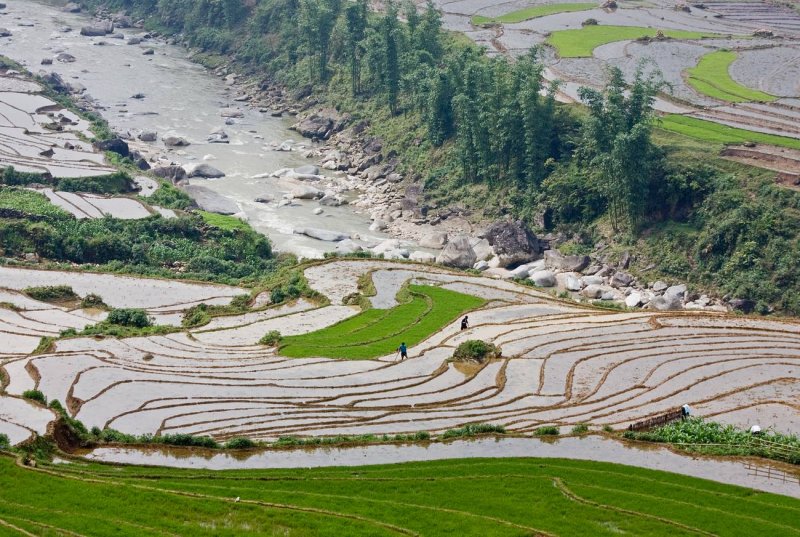 The water in the irrigated  terraces originates in streams at higher elevations.
