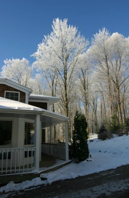 Winter hoar frost