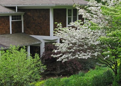 front garden in May