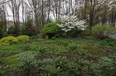 early spring garden