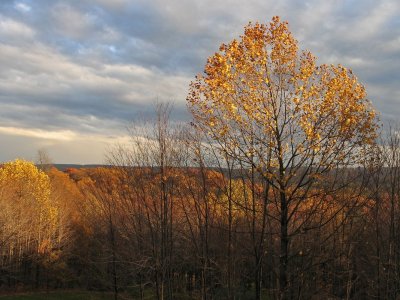 autumn views from house