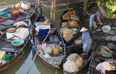 Unloading fish at the market