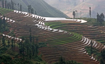 Mountain rice terraces surrounding Sapa