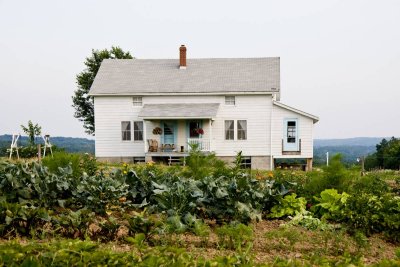 Most Amish households have a large kitchen garden