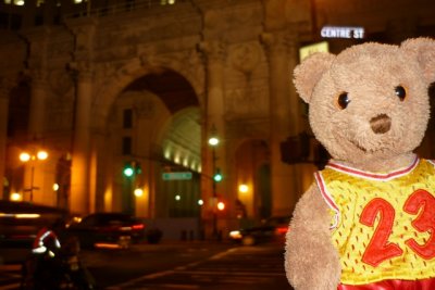 Bear at City Hall