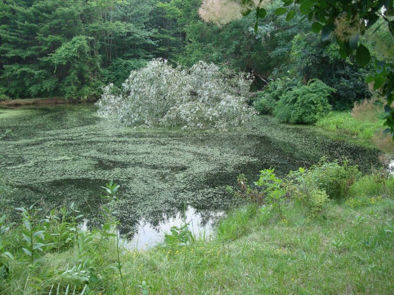 DSC00025.JPG